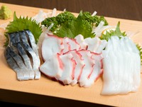 しめさば・タコ・アオリイカ