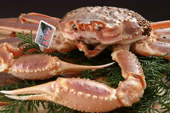 食材にこだわっている