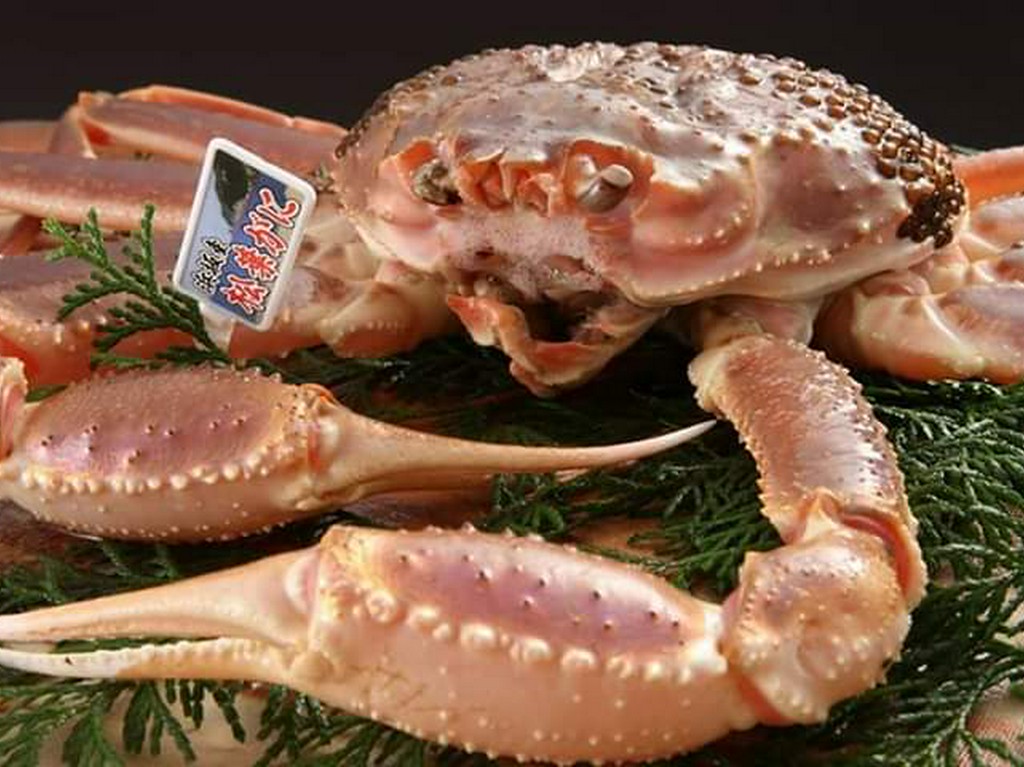 『【かに吉】の名物　かにすき』や『極上の松葉がにの姿盛り』