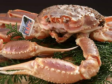 『【かに吉】の名物　かにすき』や『極上の松葉がにの姿盛り』