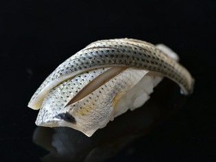 豊洲で仕入れる旬の天然魚に、江戸前の仕事を施して提供