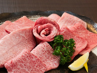 本厚木 海老名の焼肉おすすめグルメランキング トップ6 ヒトサラ