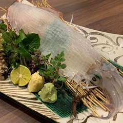 呼子のやりいか姿造り
