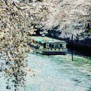 桜の季節には大岡川を遊覧。こだわりのお食事と共にお花見を楽しむことができます。