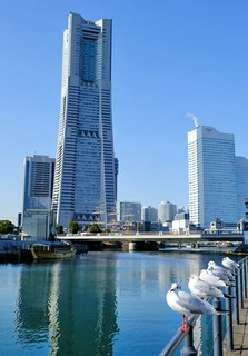 かもめたちがお出迎え。