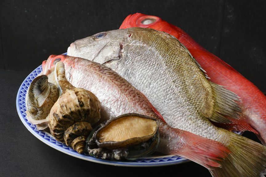活すっぽんに産地直送のかき、新鮮な魚介や旬の野菜でつくる味