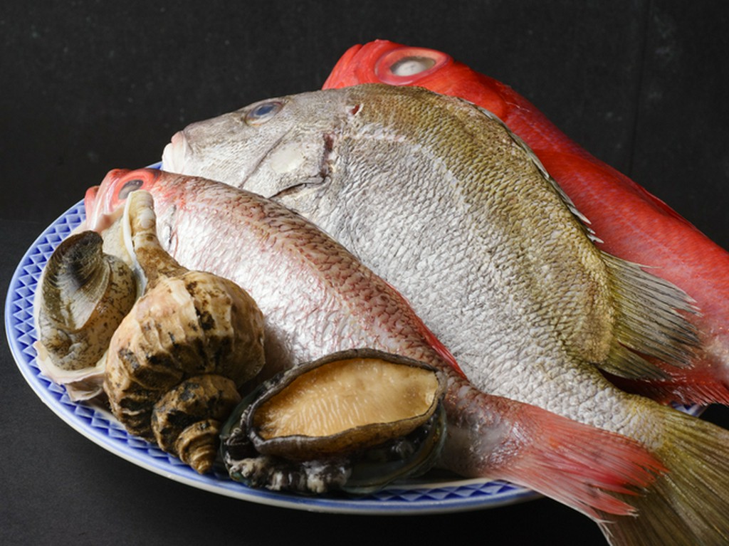 活すっぽんに産地直送のかき、新鮮な魚介や旬の野菜でつくる味