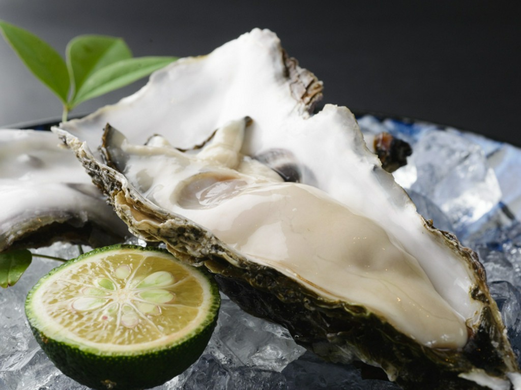 東北の産地から直送！大粒で鮮度抜群の『生カキ』