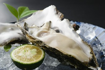 東北の産地から直送！大粒で鮮度抜群の『生カキ』