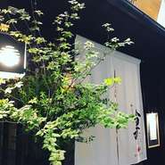 和の趣たっぷりの店内は、小気味よいジャズをBGMにゆったりとおくつろぎいただけます。
４席のみの特等席カウンターのほか、個室×２室、半個室×２室をご用意しております。
