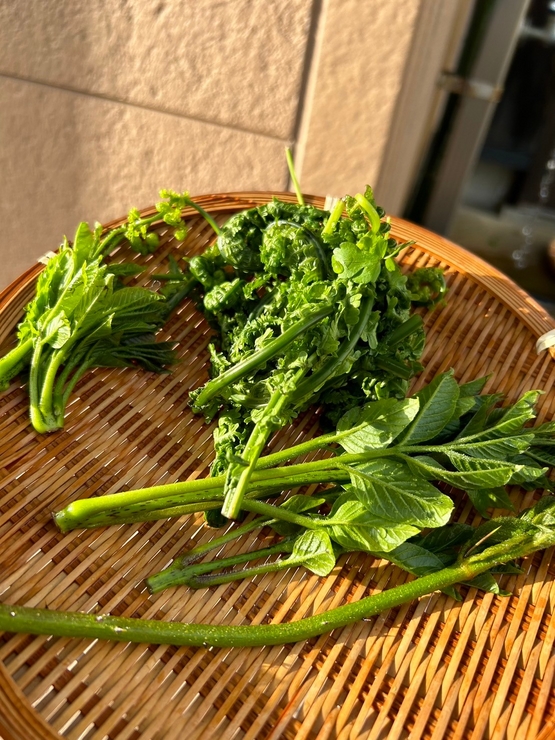 Focusing on local vegetables