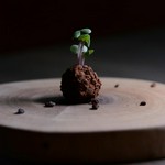 季節の食材を使ったシェフのおすすめコース