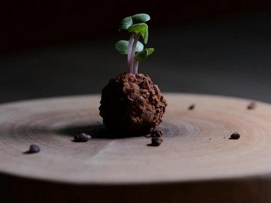 季節の食材を合わせた一品