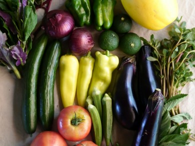 西東京の小規模生産者から集まる野菜たち