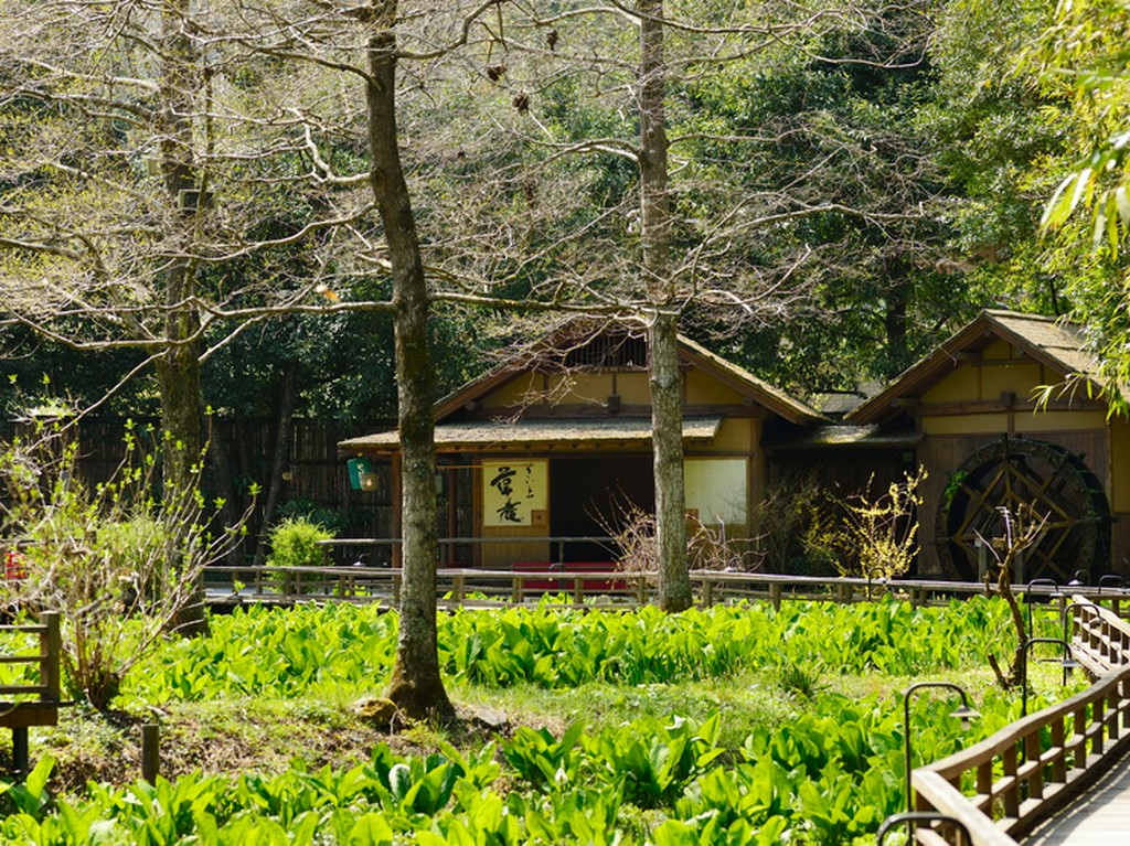 奥高尾の自然を感じられる山野草園