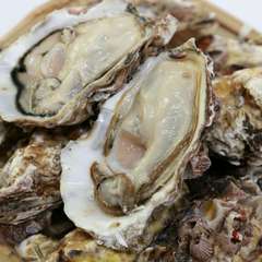 兵庫県産の新鮮な極上の大粒牡蛎です。生でも焼いても。
