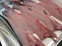 銀座　乃だやでは、静岡市場・豊洲市場の両方から新鮮な魚介類を仕入れています。お造りや新鮮な魚介類を使った料理は看板メニューのでも有ります。