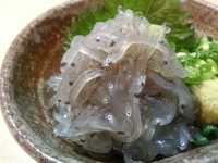 静岡　浜松産のエシャレット。シャキシャキとした食感が人気です。山葵味噌で召し上がって下さい。