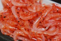 春漁（３月下旬～６月初旬）秋漁（１１月初め～１２月下旬）と年２回の漁期が有ります。漁の期間に在庫を持ち新鮮な内に髭掃除をして冷凍保存します。在庫の有る期間は新鮮な「桜海老」を提供出来ます。