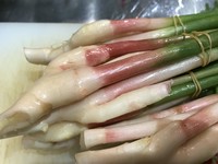 静岡　久能産の葉生姜。旬は３月の中旬から７月の中旬。とてもみずみずしく、歯切れが良い生姜です。酒の肴には相性抜群です。