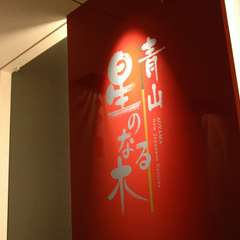 ひっそりと佇む、都会のオアシス