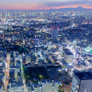 地上220mからの夜景は圧巻。新宿副都心や東京タワー、スカイツリーなどが煌めく幻想的な夜景を眺めながらの食事は、格別です。天気が良ければ、昼は富士山を望むこともできます。