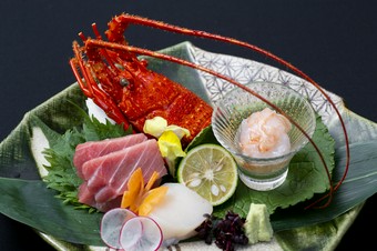 『賀寿懐石寿の造里　三種盛合わせ　本鮪　伊勢海老　白身魚　静岡県有東木産本山葵　季節のあしらい』