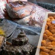毎朝、店主自ら鹿児島市内の市場に出向いて仕入れた、新鮮な海鮮食材の数々。その時期に一番おいしい旬の食材にこだわって仕入れ、素材の味を活かした料理を提供してくれます。