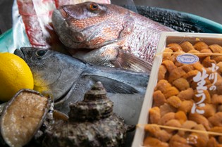 料理には、店主自ら目利きで選ぶ、旬の海鮮食材を使用