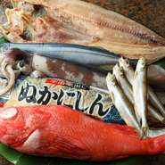 本場の市場で勤務する仲買人や生産者からその時期ならではの食材が直接届くのが最大の魅力です。巷では流通しない稀少なものや、朝露が残るほど瑞々しい野菜など抜群のコストパフォーマンス。