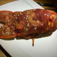 珍しい食材ご用意します！