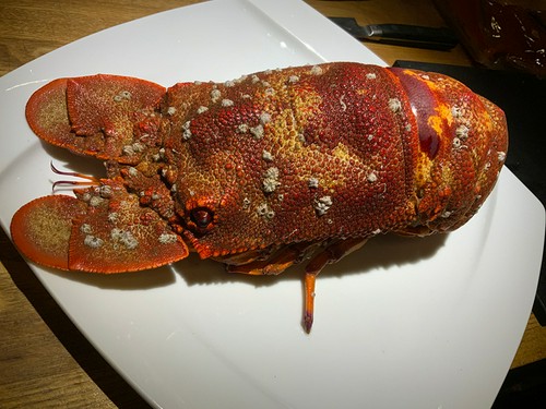 珍しい食材ご用意します！