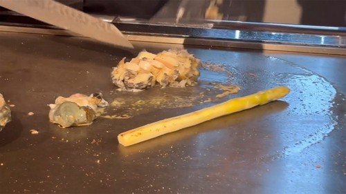 新鮮な鮑