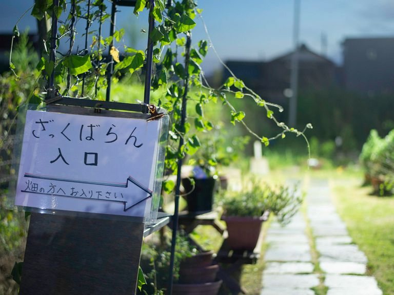 多彩なシーンで活躍する、アットホームなレストラン