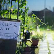 家族のお祝いや女子会にママ会、男性同士の飲み会などさまざまなシーンで活躍する【ざっくばらん】。コース料理の用意もありますが、会話の邪魔をしない大皿料理での食事もおすすめ。多彩に活用できます。