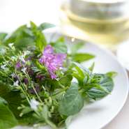 フレッシュハーブの美味しさを知ってもらいたいと、自家栽培が行われています。特に、エディブルフラワーは1年を通して約10種類を大事に育てられており、彩りのアクセントには欠かせません。  
