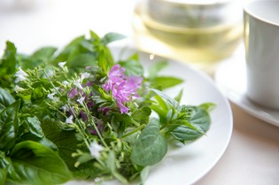 自家栽培のハーブとエディブルフラワー（食用花）