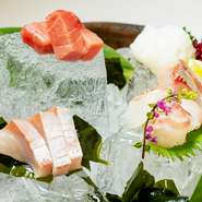 料理に使うのは、大阪市中央卸売市場東部市場で仕入れたその時にオススメの旬魚。大きな氷に盛付けられた『お造り5種盛り合わせ』などで、季節の味わいを堪能できます。