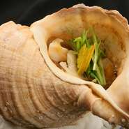 「アワビの倍おいしい」ということから、バイ貝と称されるようになったというエゾボラ貝を、野菜と一緒につぼ焼きに。スープも余すことなくいただくことで、貝のおいしさを存分に味わうことができます。