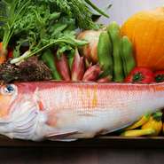 毎朝シェフが市場に出かけ、季節の野菜やきのこ、旬魚介を丁寧に目利きして仕入れ。肉も白神ラム、比内鶏、秋田牛、かづの牛など秋田が誇る肉が集合。地元食材の鮮度と持ち味をリスペクトした皿に仕立てています。