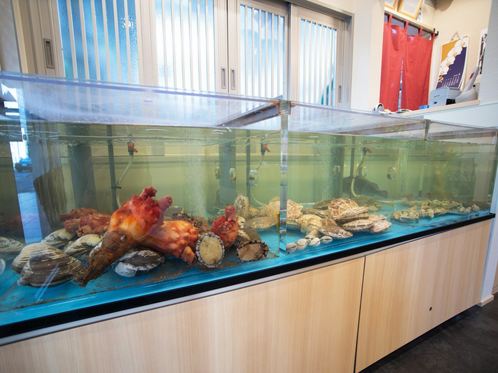 函館近海の旬の魚貝や地物野菜や地酒も揃い函館を満喫できる