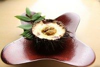 七飯町勝田豆腐店の豆乳と生湯葉を使用した、
まろやかなグラタンをうにの殻の器で
香ばしく焼き上げました。