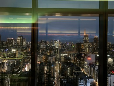 眼下に広がる壮大な夜景に感動