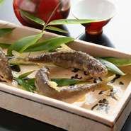 京野菜・旬菜は、瑞々しさを大切に京都で栽培されている物を中心に買い付けします。また、海の幸は市場で直接買い付けることで、旬のタイミングを逃さずキャッチ。和食に合う牛肉や鴨肉も積極的に取り入れています。