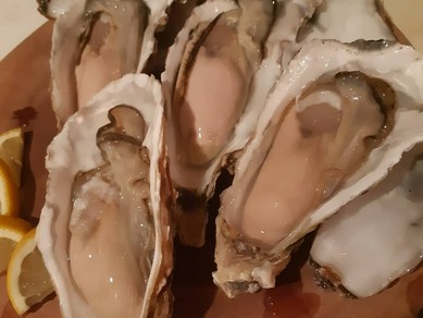 日本各地　活生牡蠣