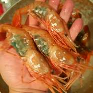 北海道産天然ボタンエビ刺身