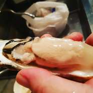 大人気即完売‼️釧路仙鳳趾の生牡蠣入荷中‼️