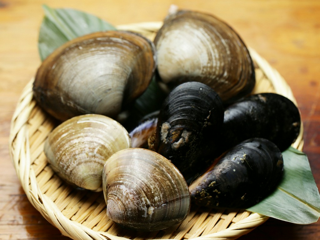 鮮度の良い魚介ならではの、やみつきになるおいしさ