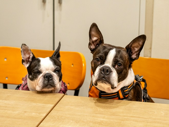 演出・サービスに特徴がある