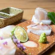 南房総から直送された魚介を使用しているそう。良質で鮮度が良く、新鮮ならではのコリっとした食感や、旬の旨みを存分に味わうことができます。特別なルートで仕入れているので、時にはめずらしい魚を味わうことも。